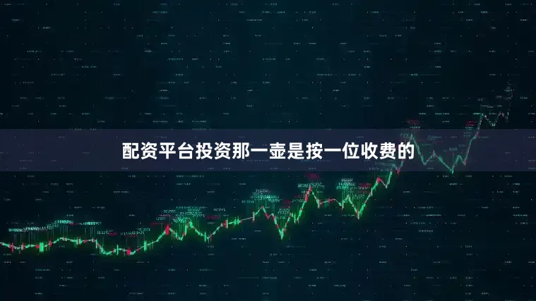配资平台投资那一壶是按一位收费的