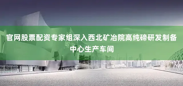 官网股票配资　　专家组深入西北矿冶院高纯碲研发制备中心生产车间