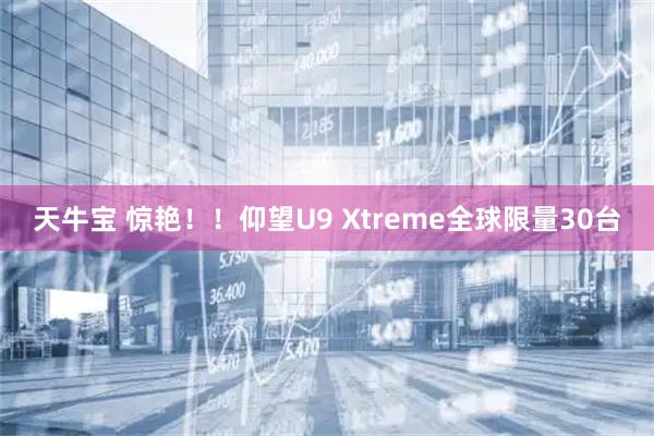 天牛宝 惊艳!!仰望U9 Xtreme全球限量30台